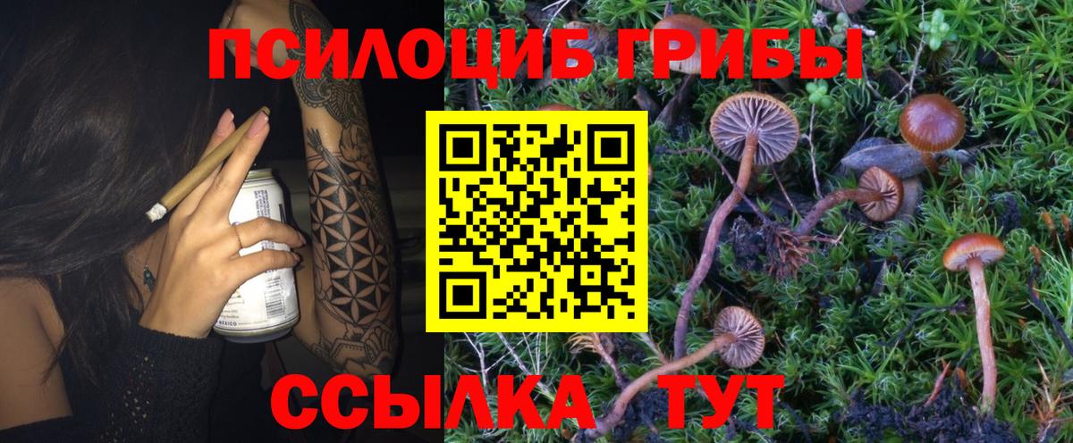 Псилоцибиновые грибы GOLDEN TEACHER Новочеркасск