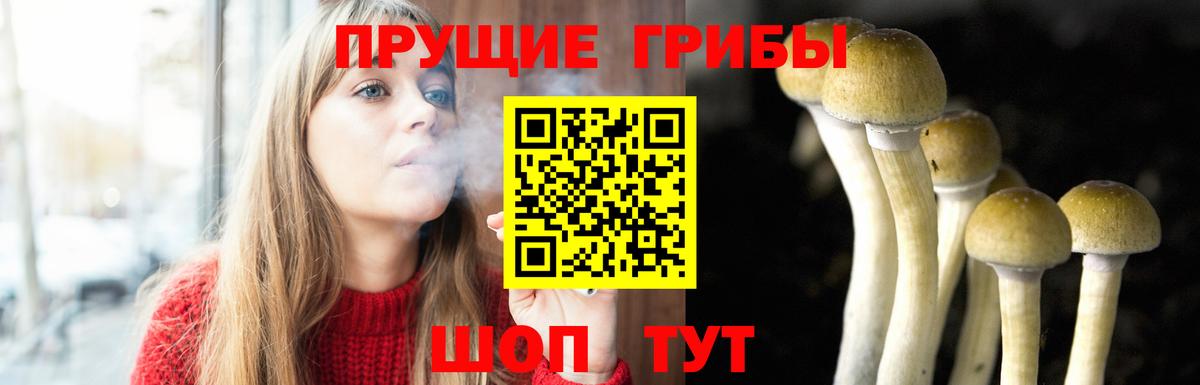 Новочеркасск  Псилоцибиновые грибы мухоморы  Псилоцибиновые грибы MAGIC MUSHROOMS  Вход с VPN 